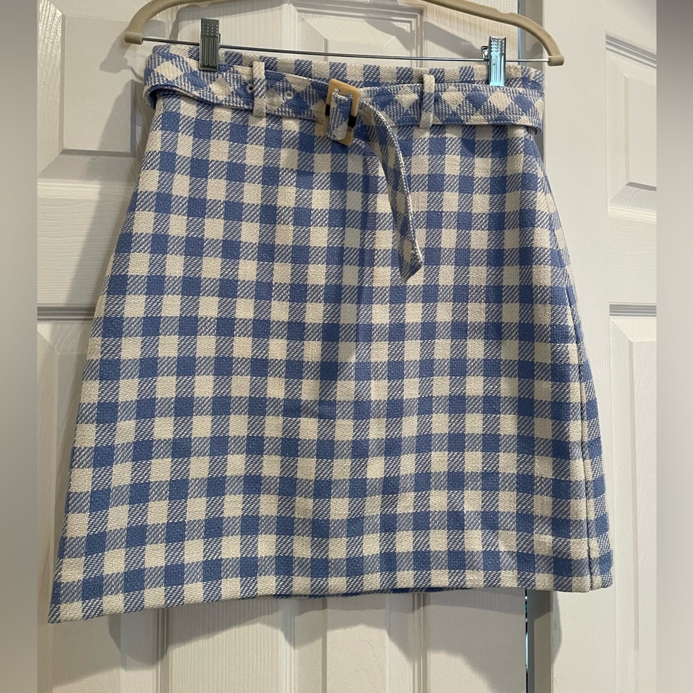 Ann Taylor Skirt